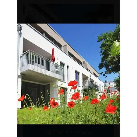Beachfront Penthouse In *